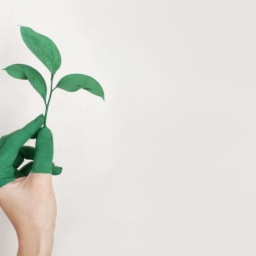 19 Ways to Promote Sustainability At Your School