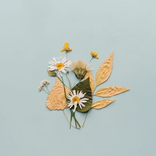 Why Natural Loose Parts? natural loose parts play dried flowers