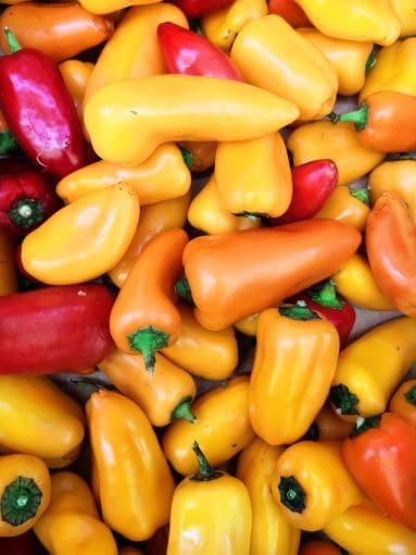 mini peppers