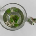 Cape Barren Tea