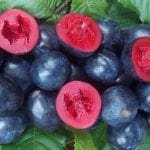 Davidson plum cut and whole