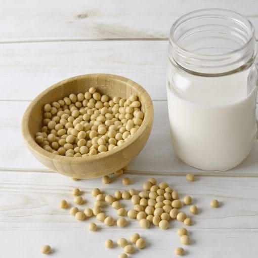 Why do we include soy in our plant-based menu? soy plant-based