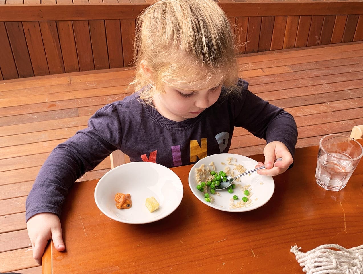 division of responsibility meal times sustainable play