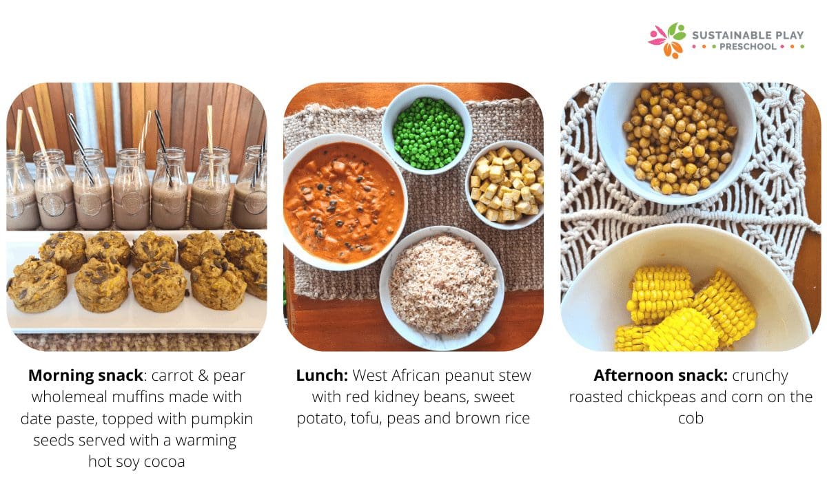 A plant-based & sustainable diet for kids, but where do they get their protein? 7 plant based protein and calcium