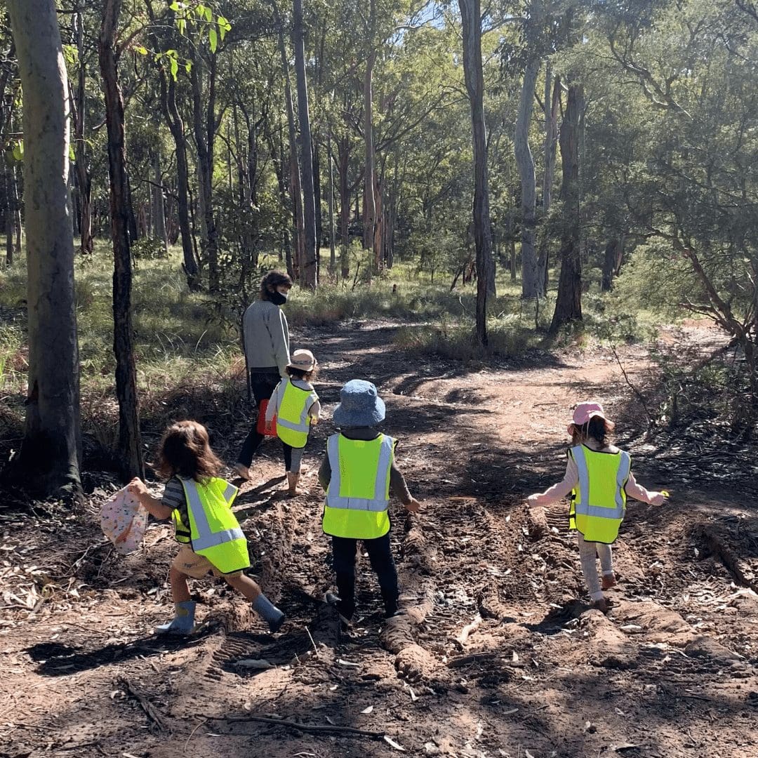 bush kindy mixed age grouping