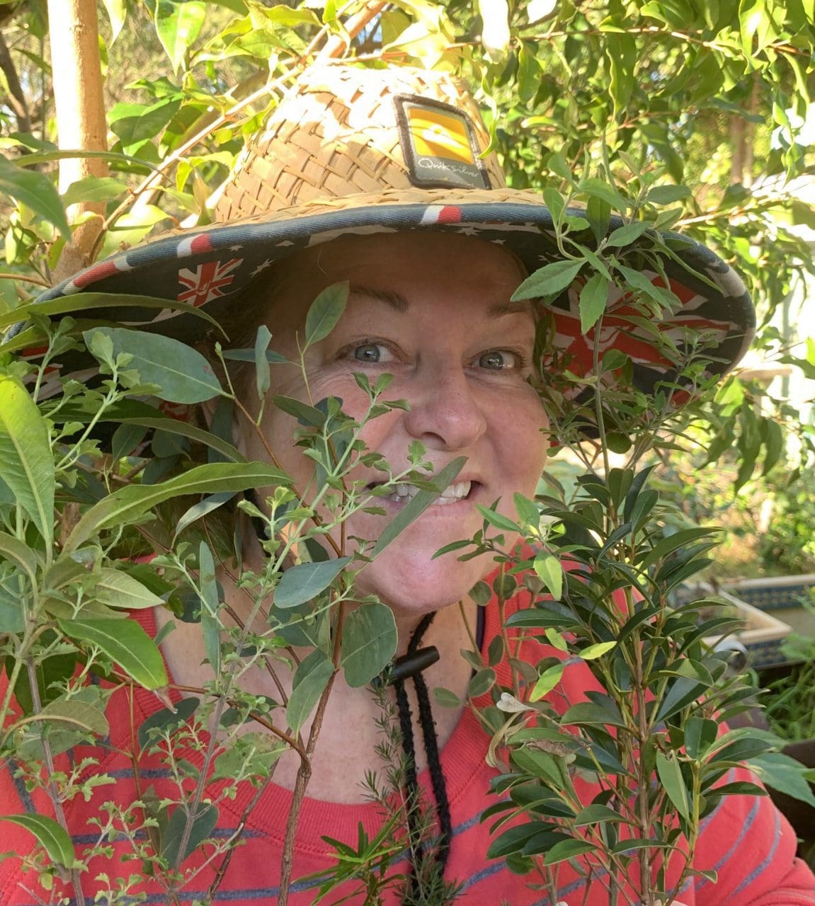 Linda Dipper