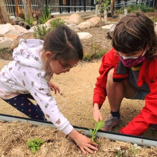 gardening planting sustainable play