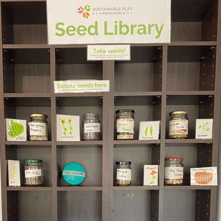 Sustainable Play Seed Bank 280570499 1765579493785210 8235965529696832674 n