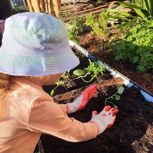 280760964 1765565147119978 3453880208184134071 n