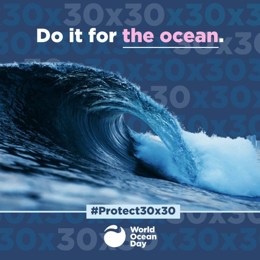 Do it for the ocean 30×30