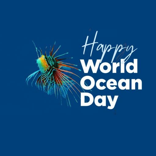 World Oceans Day June 8th Fish – Happy World Ocean Day