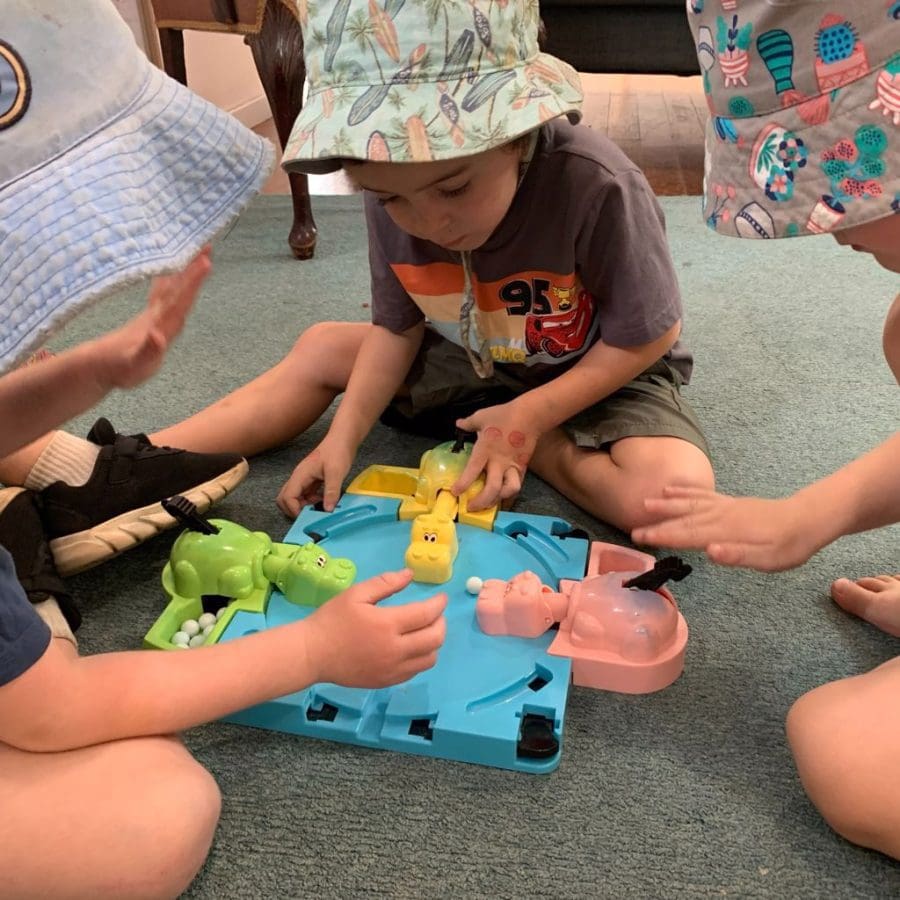 hungryhippos