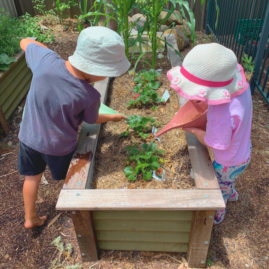 2 rie active participant watering the garden