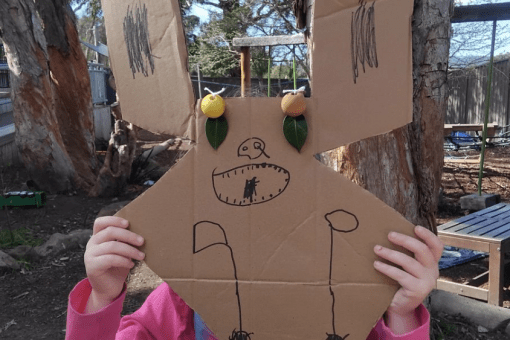 cardboard sustainability