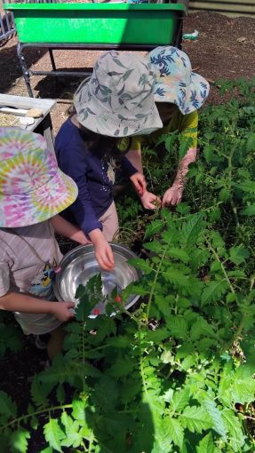 Primary Educator Model: Building Deep Connections for Secure, Confident Children 2 1280 0 80 owna apac image sustainablepps 971af2d6 3962 4494 8558 40831178ba2f